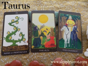 Nine of Pentacles, The Sun, The Chariot
