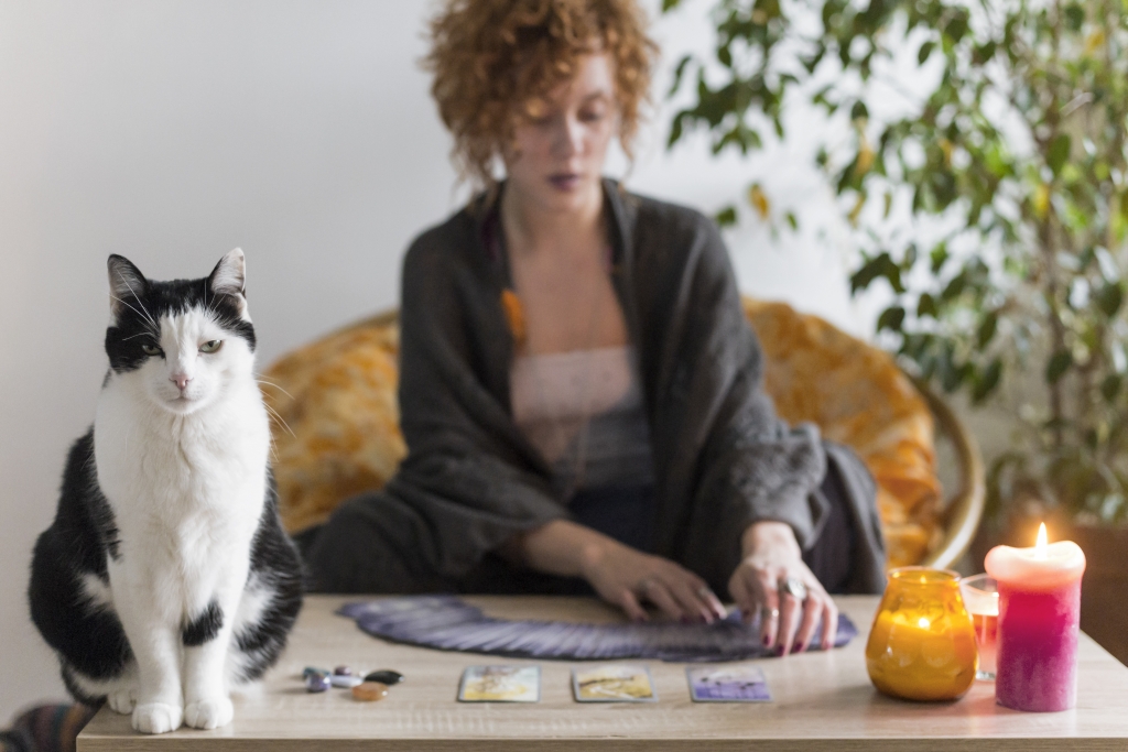 Tarot reader, cat and candles